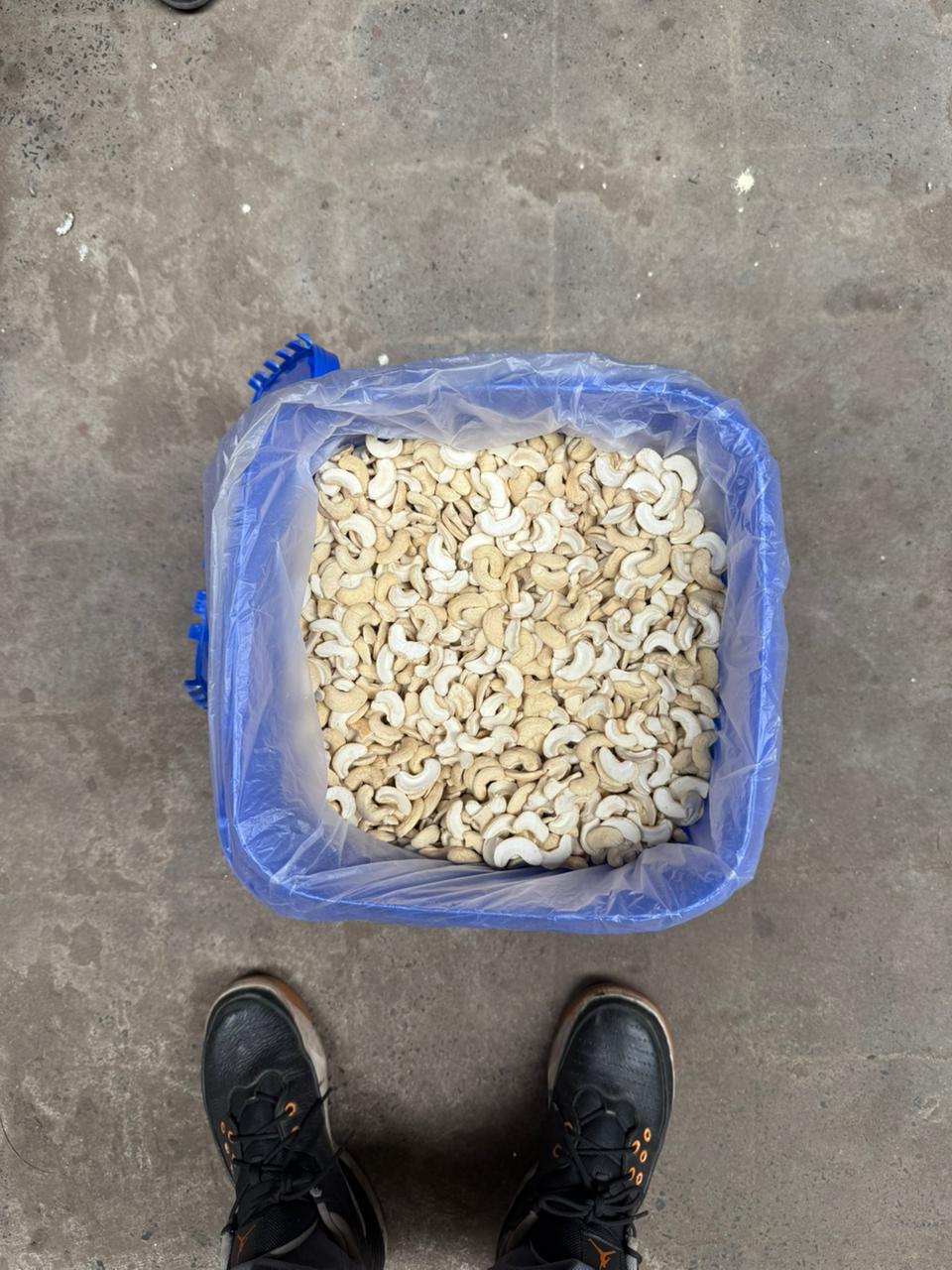 Cashews (Kaju)