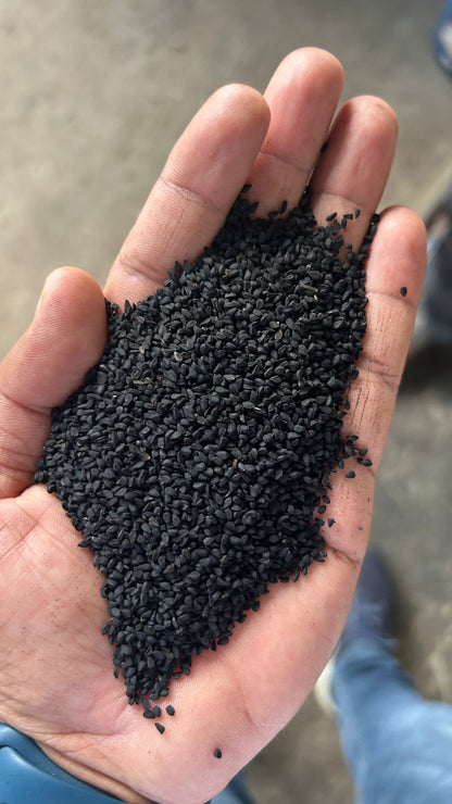 Kala Jeera (Kalonji)