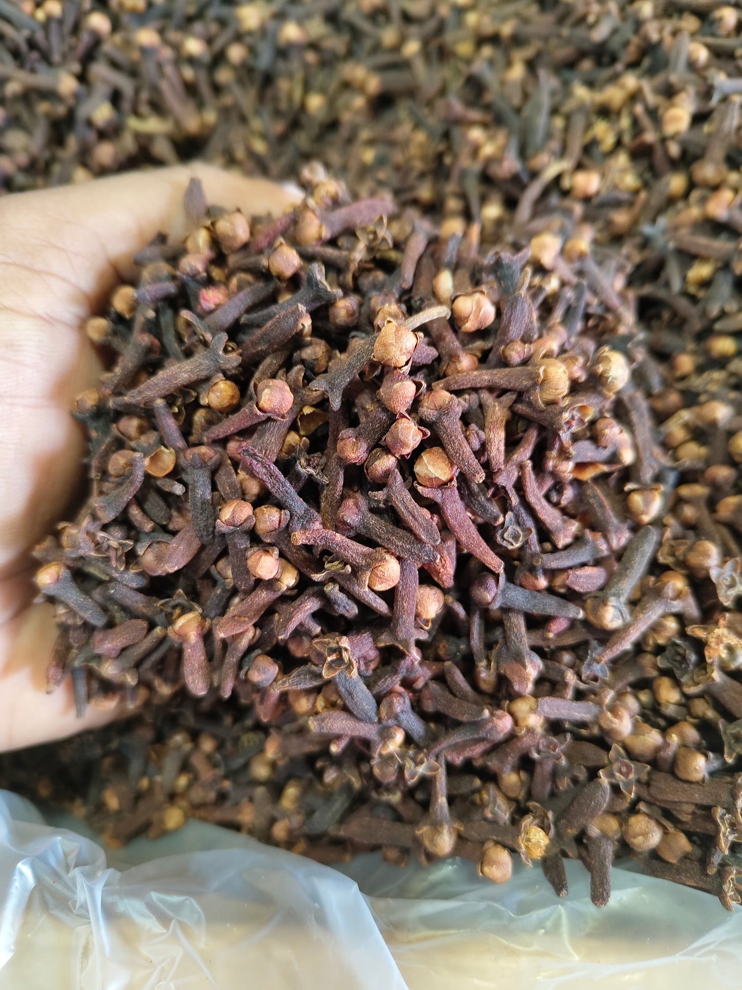 Clove (Laung)