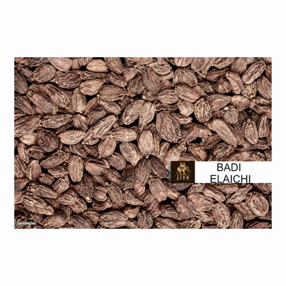 Cardamom (Elaichi)