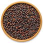 Mustard (Sarso)