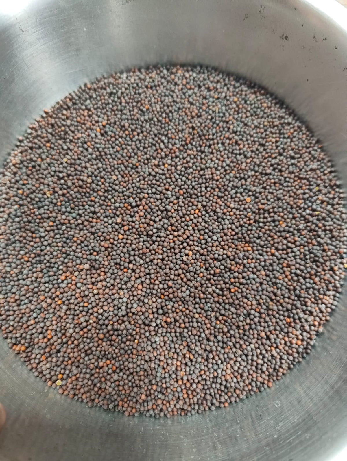 Mustard Seeds (Kala Sarso)