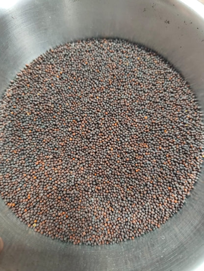 Mustard Seeds (Kala Sarso)