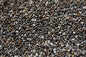 Seeds (Chia-Sunflower-Flax-Sabja-Pumpkin)