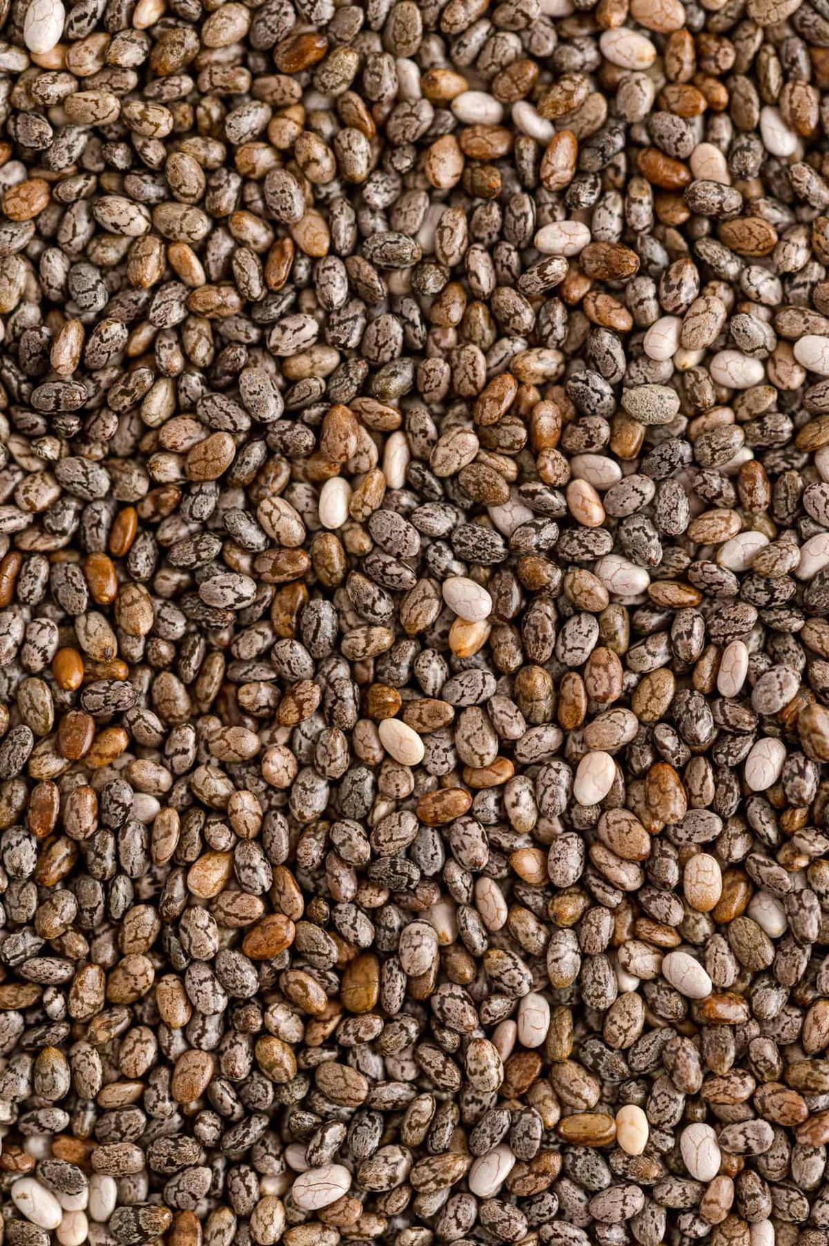 Seeds (Chia-Sunflower-Flax-Sabja-Pumpkin)