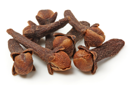 Clove (Laung) — Indonesian Lalpari & Madagascan | Wholesale 10 Kg Carton