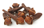 Clove (Laung) — Indonesian Lalpari & Madagascan | Wholesale 10 Kg Carton