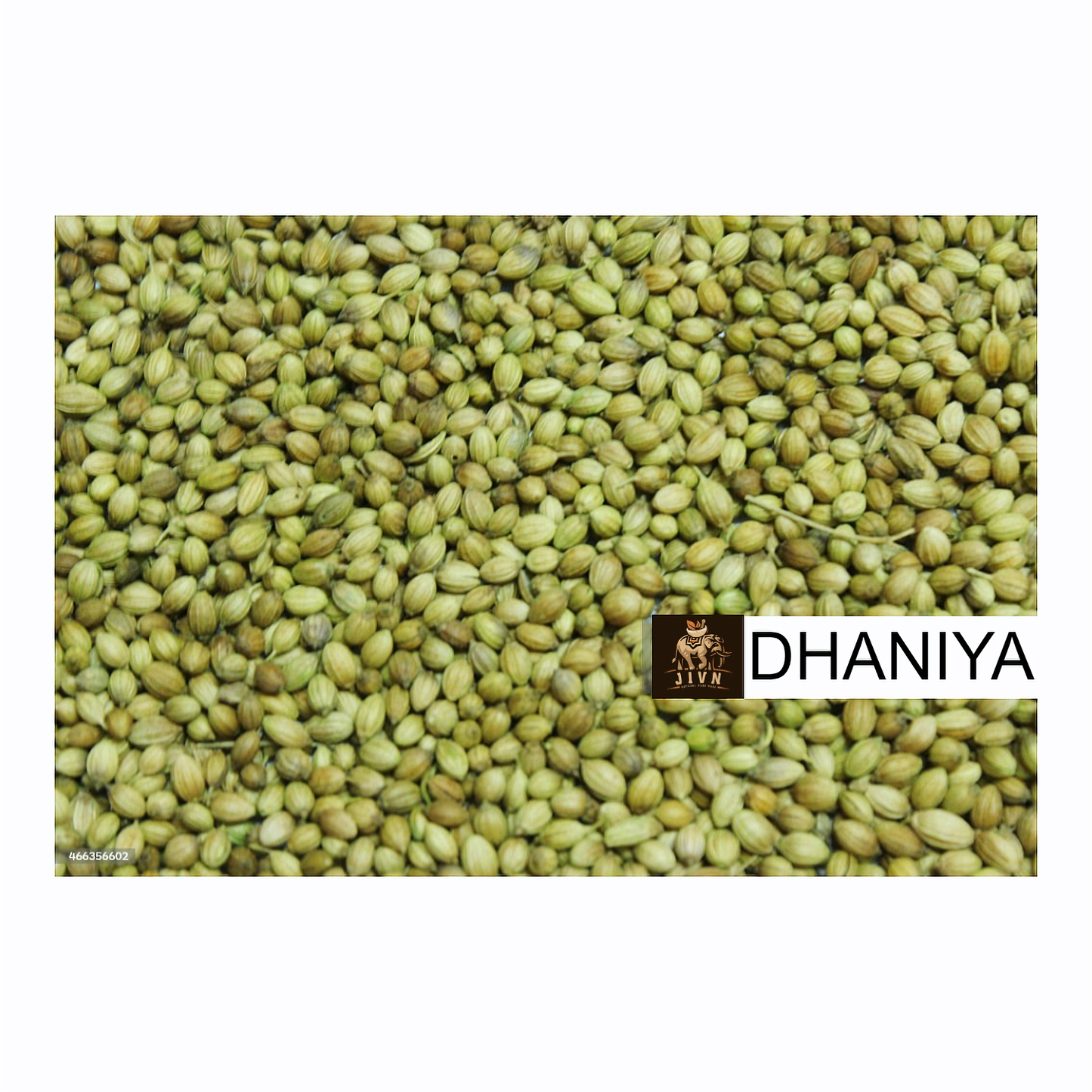 Coriander Seeds (Dhaniya)