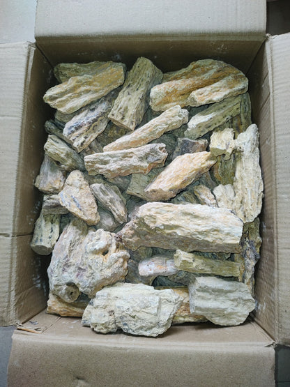 Dhuna (Damar Batu)