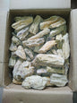 Dhuna (Damar Batu)