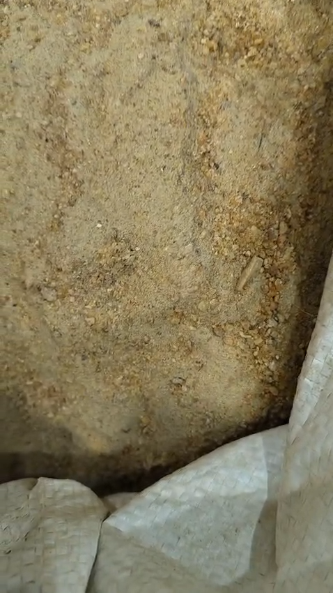 Dhuna (Damar Batu)