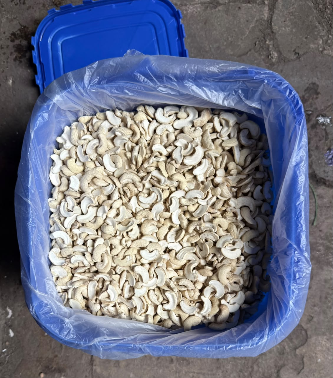 Cashews (Kaju)