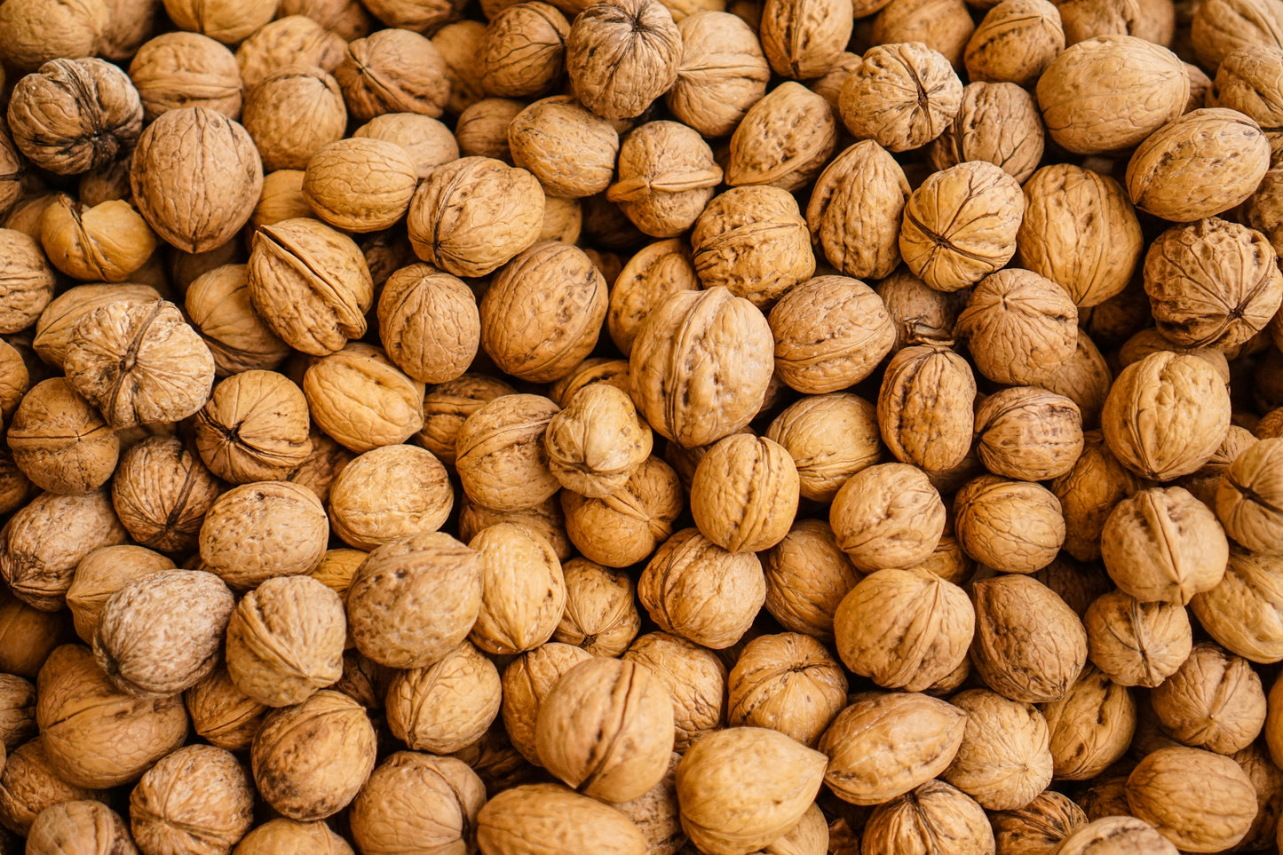 Akhrot (Walnuts)