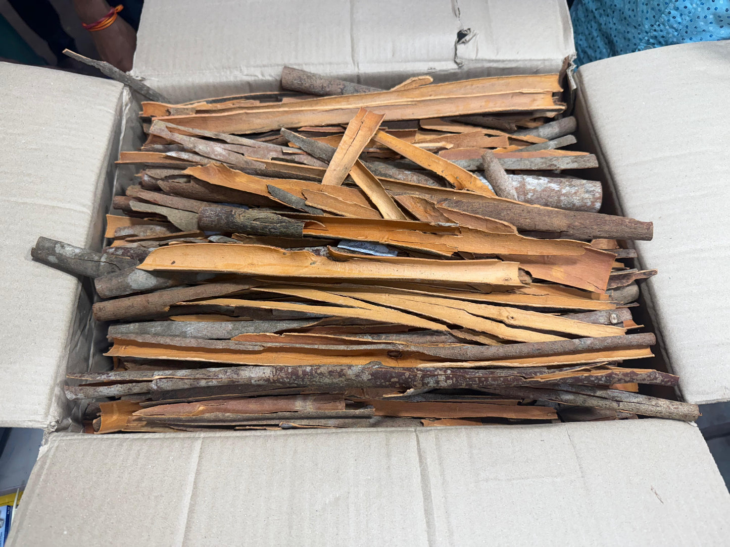 Cinnamon (Dalchini / Daruchini)