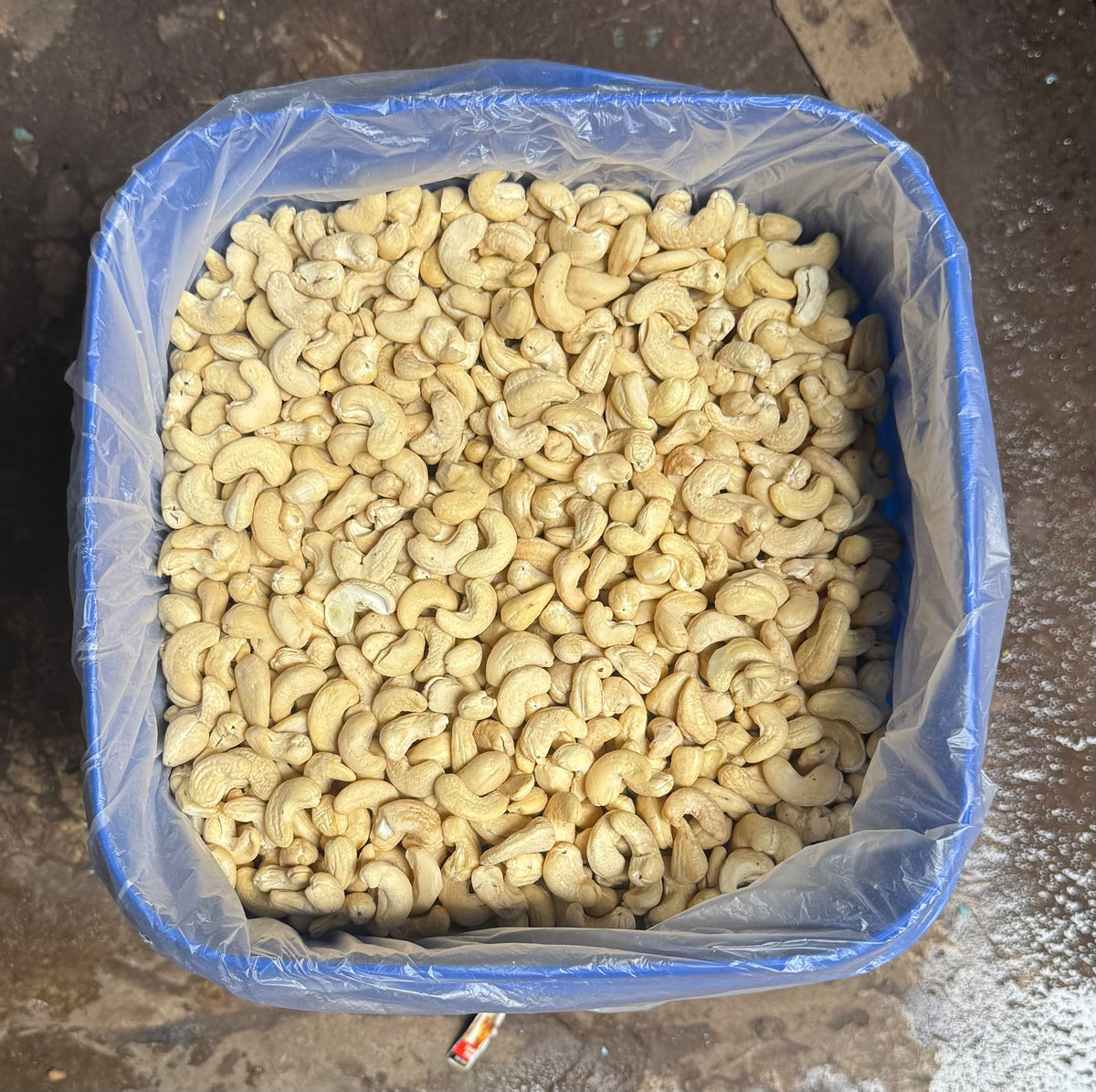 Cashews (Kaju) - Lot DBL-129