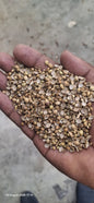 Coriander Seeds (Dhaniya)