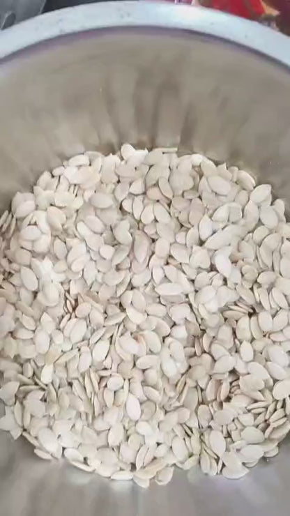 Magaj (Watermelon Seeds)