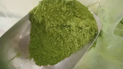 Moringa Powder