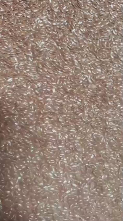 Seeds (Chia-Sunflower-Flax-Sabja-Pumpkin)