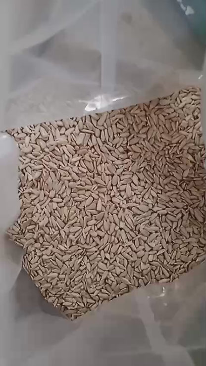 Seeds (Chia-Sunflower-Flax-Sabja-Pumpkin)