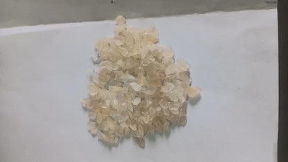 Gond Katira (Katila)
