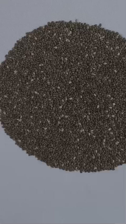 Seeds (Chia-Sunflower-Flax-Sabja-Pumpkin)