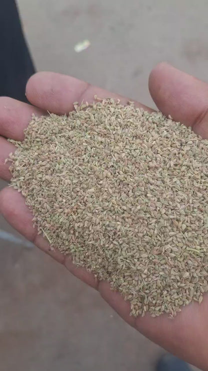 Ajwain (Carom Seeds)