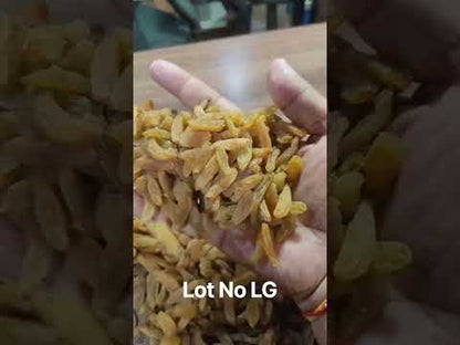 Kismis (Raisins) Live Lot LG (14 kg)